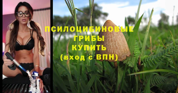 марки nbome Алзамай