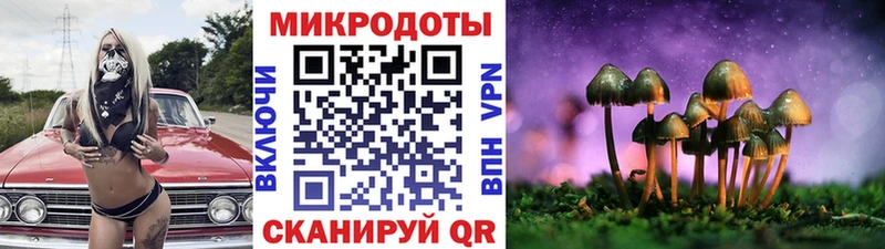 мега онион  Радужный  Псилоцибиновые грибы Psilocybine cubensis 